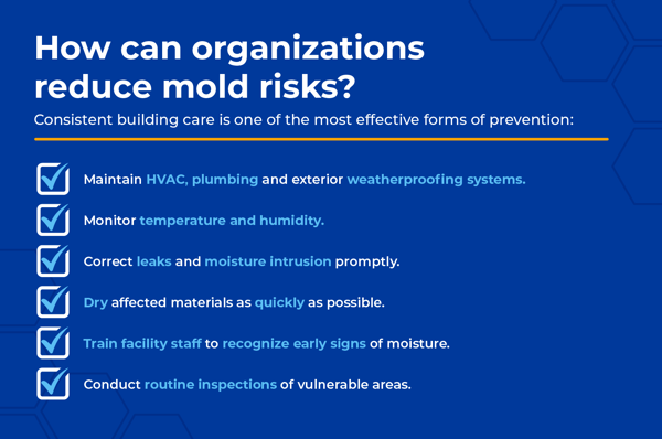 083_KC Mold Inspection Blog_In-Blog Graphic