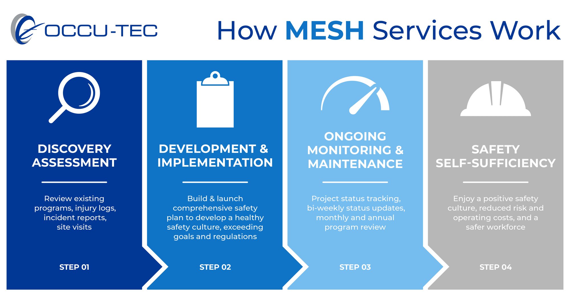 How MESH Services Work Inforgraphic
