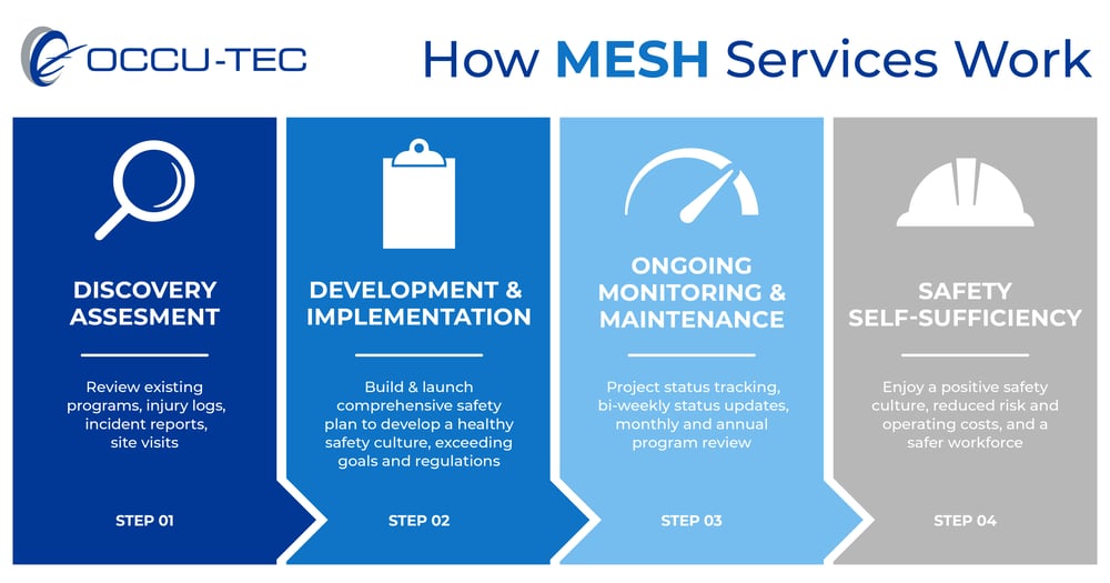 MESH Services graphic MESH Services graphic