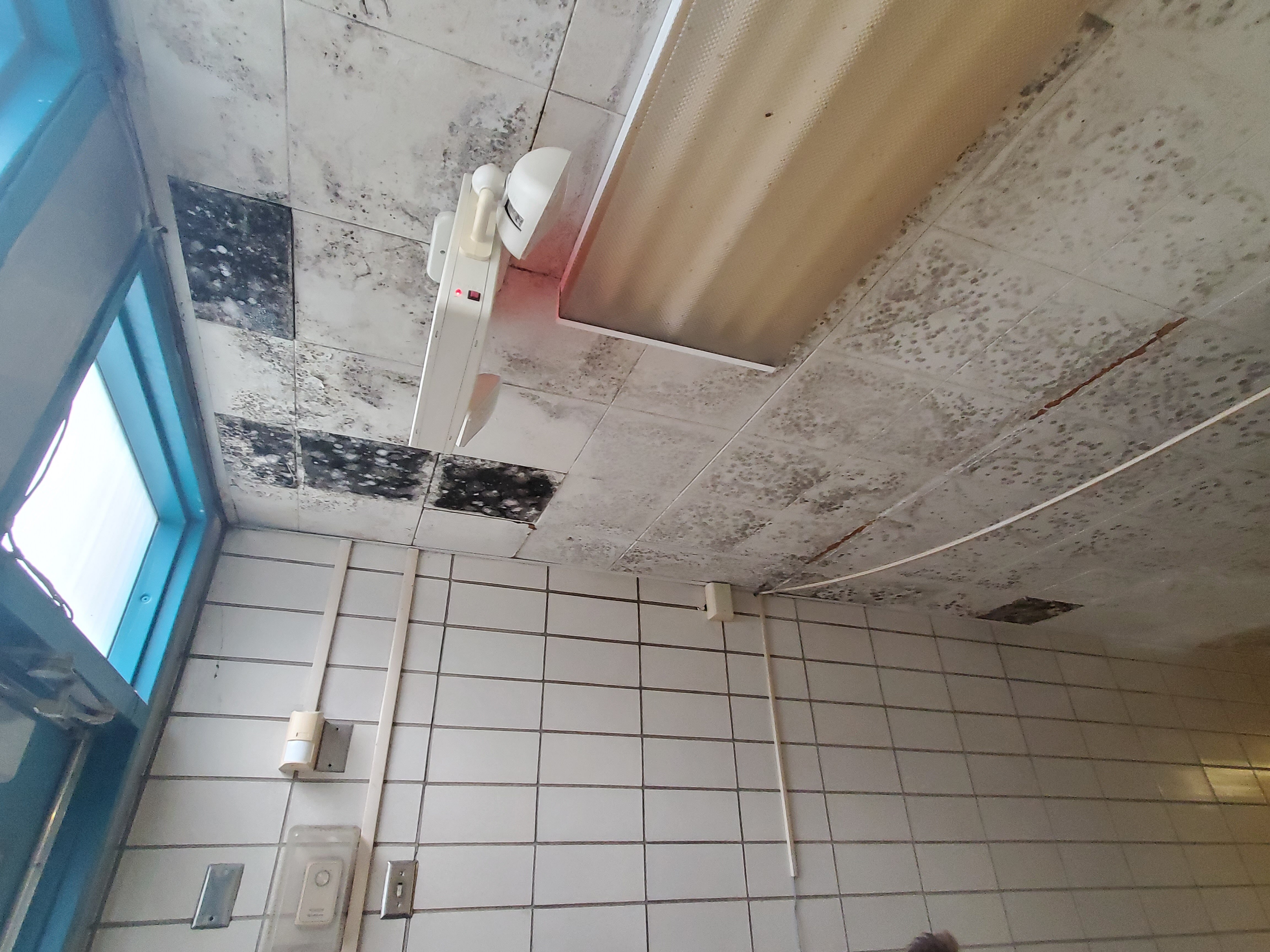 SVMG on ceiling