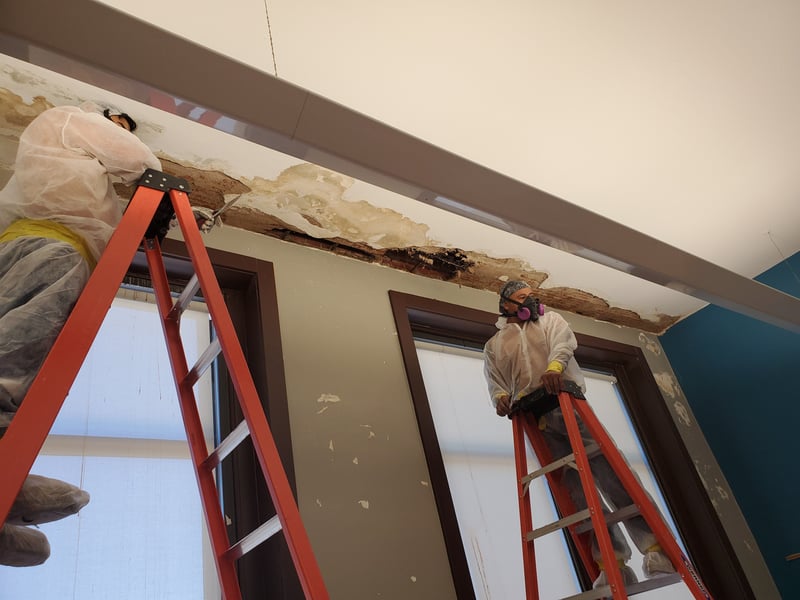 Workers abating moisture damaged plaster