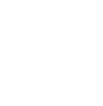 compliance icon