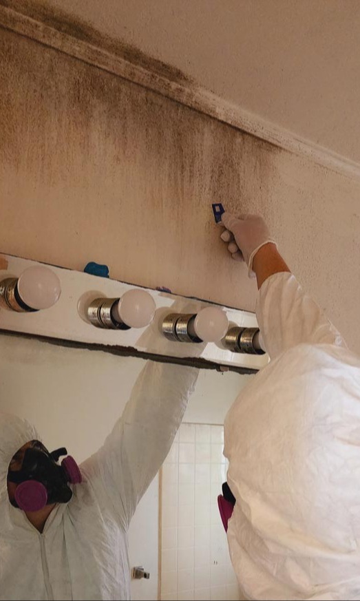 mold-air-quality--1-1