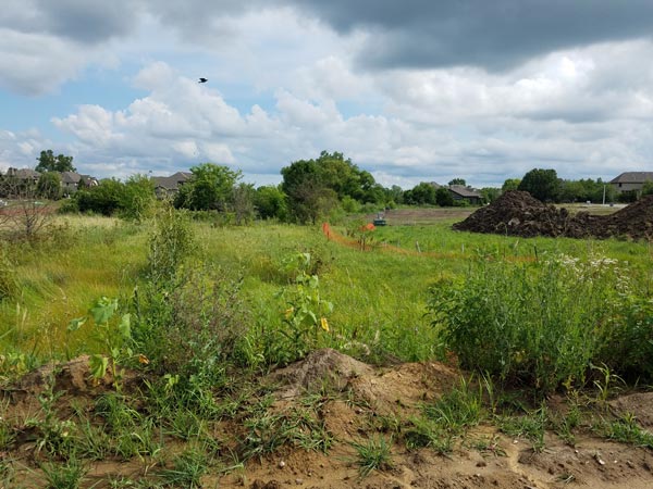 site-assessment- site-assessment-